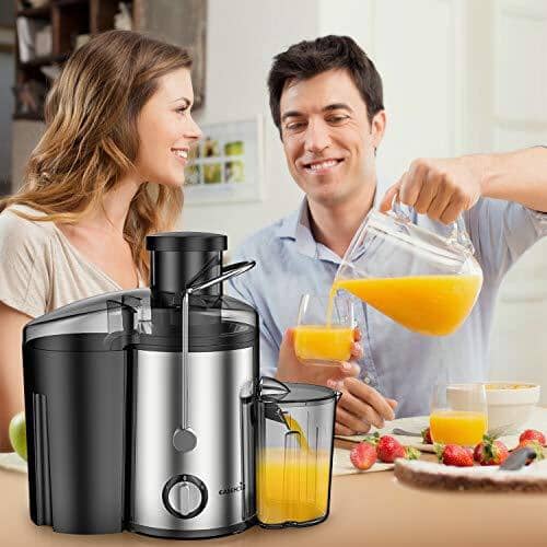 Easehold Juicer Machines Extractor 600W Centrifugal Juicers Electric Anti-Drip Dual Speed BPA-Free with Juice Jug and Pulp Container for Fruit Vegetable Kitchen EASEHOLD 