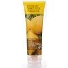 Desert Essence Organics Hair Care Shampoo, for Oily Hair, Lemon Tea Tree, 8-Ounces (Pack of 3) Hair Care Desert Essence 