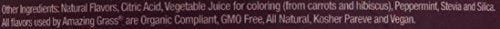 Amazing Grass Green Superfood Antioxidant Organic Powder with Wheat Grass, Elderberry, and Greens, Flavor: Sweet Berry, 60 Servings Supplement Amazing Grass 