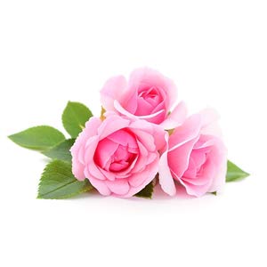 Petitfee Rose Wash Off Mask with Antioxidants, Vitamins, and Rose Extracts that Boosts Collagen Production - Can Reduce the Appearance of Dark Spots to Maintain Youthful Skin, 3.52 oz Skin Care Petitfee 