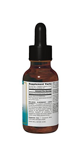 Source Naturals Wellness Elderberry Liquid Extract 100mg (Sambucus nigra) - 4 oz Liquid Supplement Source Naturals 