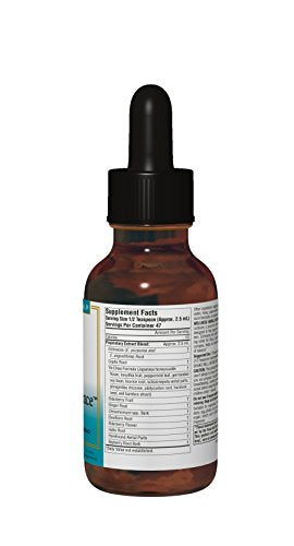 Source Naturals Wellness Herbal Resistance Liquid Subligual - Non-Alcohol, 100% Pure With Echinacea, Yin Chiao, Goldenseal & More - 4 oz Supplement Source Naturals 