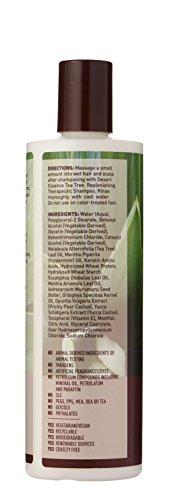 Desert Essence Tea Tree Conditioner - 12.9 fl oz Hair Care Desert Essence 