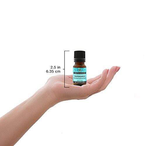 Wintergreen Essential Oil (100% Pure and Natural, Therapeutic Grade) 10 ml Essential Oil Plantlife 