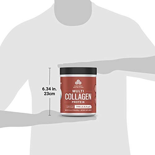 Ancient Nutrition Multi Collagen Protein Powder, 45 Servings, 5 Types of Food Sourced Collagen, Providing Types I, II, III, V, and X Supplement Ancient Nutrition 