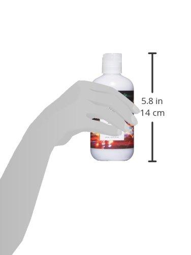 R+Co Sunset Blvd Blonde Conditioner Hair Care R+Co 