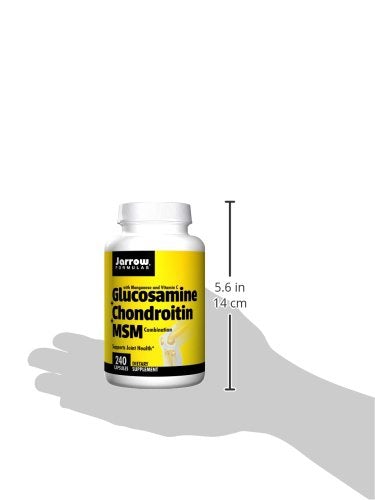 Jarrow Formulas Glucosamine and Chondroitin and MSM, Supports Joint Health, 240 Caps Supplement Jarrow 