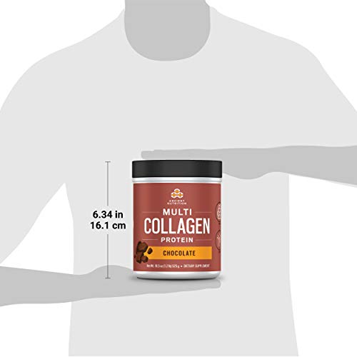 Ancient Nutrition Multi Collagen Protein Powder, Chocolate Flavor - 40 Servings Supplement Ancient Nutrition 