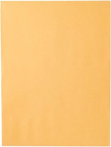 Mead Mailing Envelopes, Clasp Closure, 9" X 12", All-Purpose 24-lb Paper, Brown Kraft Material, 20 per Box (76020) Office Product Mead 