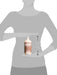 Everyone Body Lotion, Unscented, 32 Ounce Skin Care Everyone 