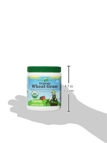 Amazing Grass Organic Wheat Grass Powder Supplement Amazing Grass 
