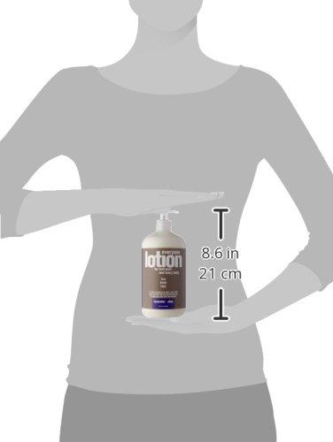 Everyone Lotion, Lavender and Aloe, 32 Ounce, 3 in1 hand,face,body Skin Care Everyone 
