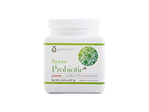 Youtheory Spore Probiotic Powder Advanced, White, 3.45 Ounce Supplement Youtheory 