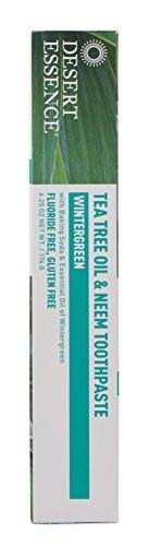 Desert Essence Natural Tea Tree Oil Toothpaste & Neem, Wintergreen,6.25oz, 2pk Toothpaste Desert Essence 