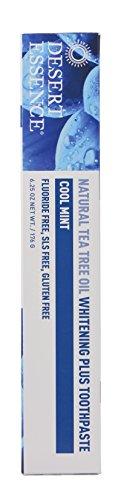 Desert Essence Whitening Plus Cool Mint Toothpaste - 6.25 oz Toothpaste Desert Essence 