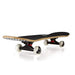 Magneto Kids Skateboard | Maple Deck with Components - Designed for Kids and Teens (Checkered) Sports Magneto 