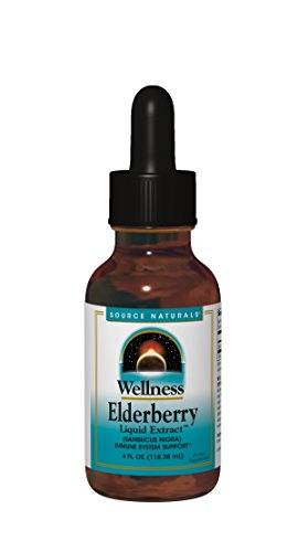Source Naturals Wellness Elderberry Liquid Extract 100mg (Sambucus nigra) - 4 oz Liquid Supplement Source Naturals 