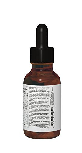 Source Naturals Wellness Herbal Resistance Liquid Subligual - Non-Alcohol, 100% Pure With Echinacea, Yin Chiao, Goldenseal & More - 4 oz Supplement Source Naturals 
