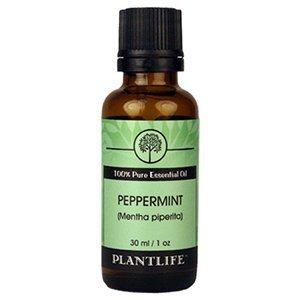 Peppermint 100% Pure Essential Oil - 30 ml Essential Oil Plantlife 
