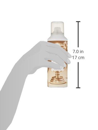 R+Co Trophy Shine and Texture Spray, 6 oz. Hair Care R+Co 