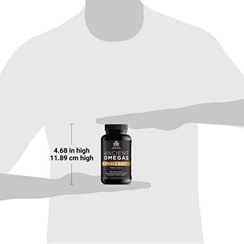 Ancient Nutrition Ancient Omegas Whole Body - ALA, DHA, EPA, ETA from Wild Caught Fish - 90 Capsules Supplement Ancient Nutrition 
