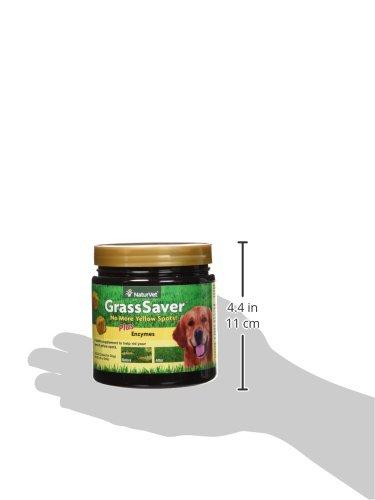 NaturVet 120 Count Grass Saver Soft Chews Jar with Enzymes for Dogs Animal Wellness NaturVet 
