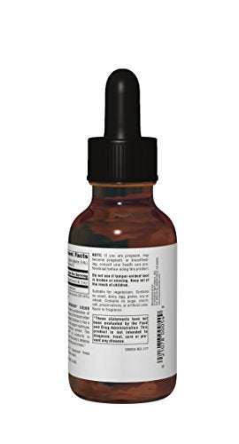 Source Naturals Wellness Elderberry Liquid Extract 100mg (Sambucus nigra) - 4 oz Liquid Supplement Source Naturals 