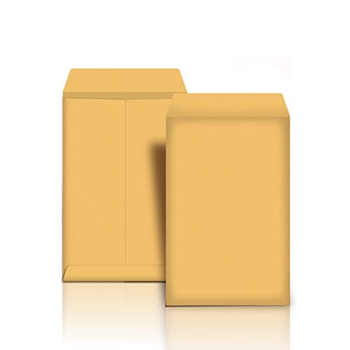Amazon Basics Catalog Mailing Envelopes, Peel & Seal, 10x13 Inch, Brown Kraft, 250-Pack Office Product Amazon Basics 