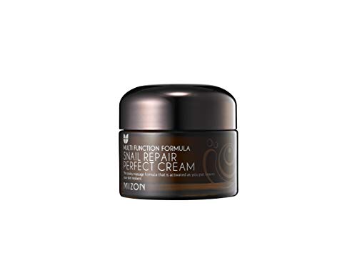 Mizon Snail Repair Perfect Cream 50ml 1.69 fl oz Skin Care MIZON 