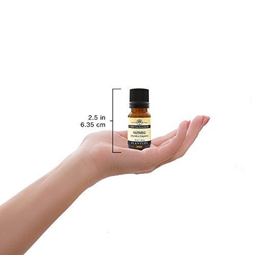 Nutmeg 100% Pure Essential Oil - 10 ml Essential Oil Plantlife 