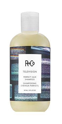 R+Co Television Perfect Hair Shampoo, 8 fl. oz. Hair Care R+Co 