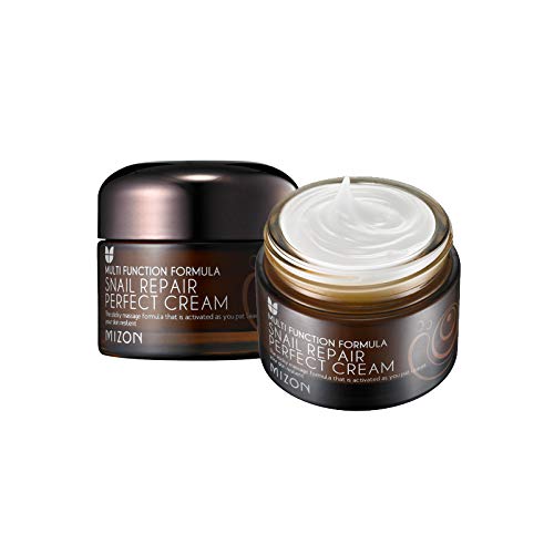 Mizon Snail Repair Perfect Cream 50ml 1.69 fl oz Skin Care MIZON 