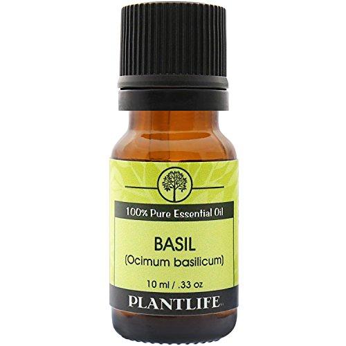Basil 100% Pure Essential Oil - 10 ml Essential Oil Plantlife 