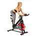 Sunny Health & Fitness SF-B1002 Belt Drive Indoor Cycling Bike, Grey Sport & Recreation Sunny Health & Fitness 