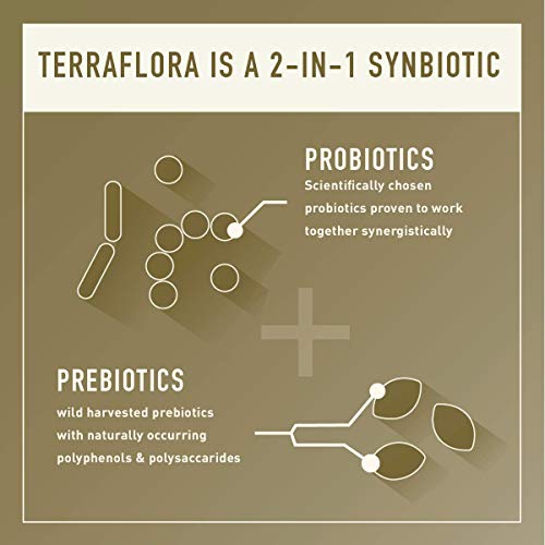 Enviromedica Terraflora Synbiotic SBO Supplement - a Spore Form Probiotic and Prebiotic Soil-Based Organism formulated for Robust Support of Gut Health (60ct) Supplement Enviromedica 
