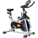 YOSUDA Indoor Cycling Bike Stationary - Cycle Bike with Ipad Mount & Comfortable Seat Cushion (Gray) Sports YoSuDa 