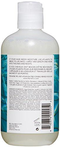 R+Co Atlantis Moisturizing Shampoo, 8.5 fl. oz. Hair Care R+Co 