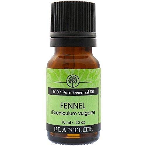 Fennel Sweet 100% Pure Essential Oil - 10 ml Essential Oil Plantlife 