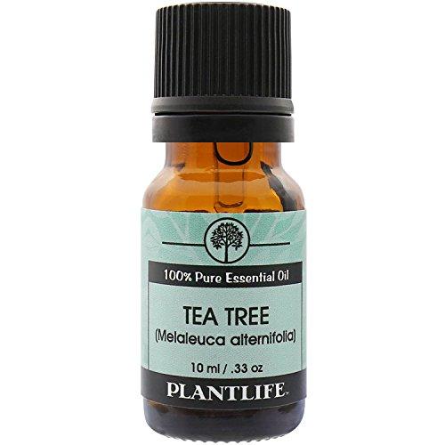 Plantlife, Tea Tree, 100% Pure High Grade Quality Essential Oil, 10 Milliliter Essential Oil Plantlife 