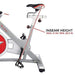 Sunny Health & Fitness Pro Indoor Cycling Bike Sport & Recreation Sunny Health & Fitness 