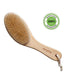 Dry Brushing Body Brush / Exfoliating Brush – Skin Brush Best for Achieving Healthy Skin Accessory rengöra 