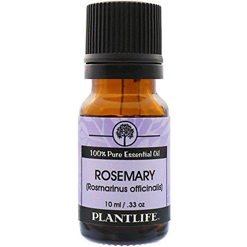 Rosemary 100% Pure Essential Oil - 10 ml Essential Oil Plantlife 