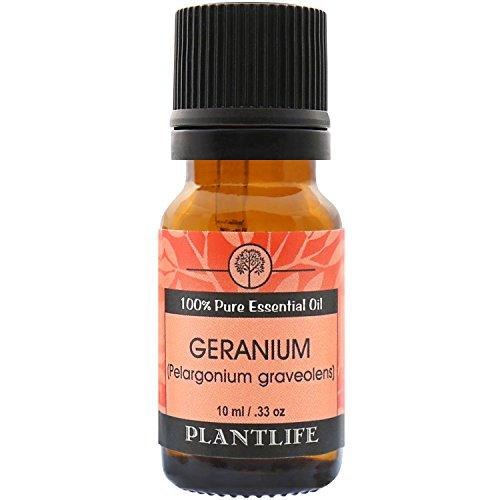 Geranium 100% Pure Essential Oil - 10 ml Essential Oil Plantlife 