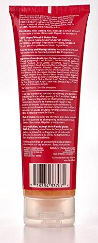 Desert Essence Organics Red Raspberry Shampoo - 8 fl oz Hair Care Desert Essence 