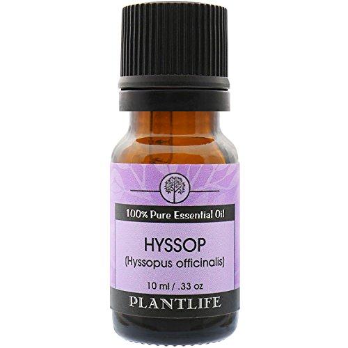 Hyssop Essential Oil (100% Pure and Natural, Therapeutic Grade) 10 ml Essential Oil Plantlife 
