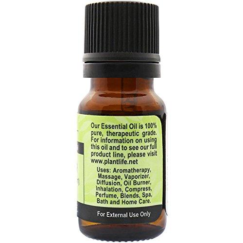 Coriander Essential Oil (100% Pure and Natural, Therapeutic Grade) 10 ml Essential Oil Plantlife 