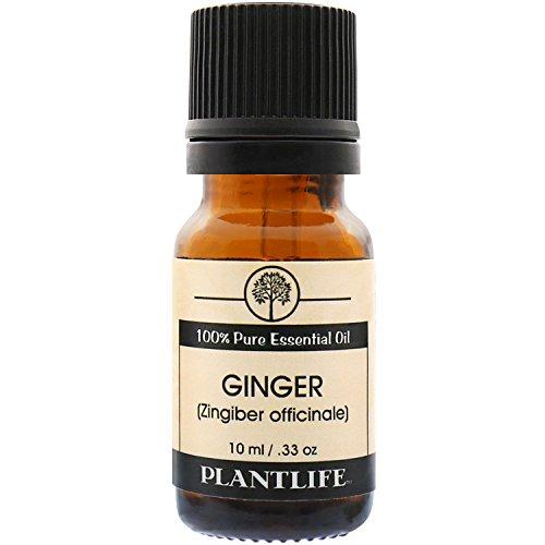 Ginger 100% Pure Essential Oil - 10 ml Essential Oil Plantlife 