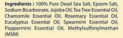 100% Natural Anti Fungal Tea Tree Oil Body & Foot Scrub 12 oz. with Dead Sea Salt - Best for Acne, Dandruff and Warts, Helps with Corns, Calluses, Athlete foot, Jock Itch & Body Odor Skin Care First Botany Cosmeceuticals 