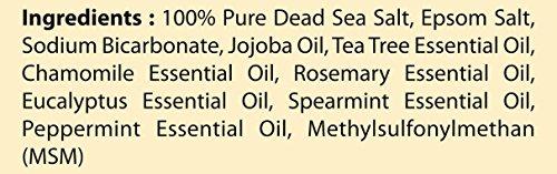 100% Natural Anti Fungal Tea Tree Oil Body & Foot Scrub 12 oz. with Dead Sea Salt - Best for Acne, Dandruff and Warts, Helps with Corns, Calluses, Athlete foot, Jock Itch & Body Odor Skin Care First Botany Cosmeceuticals 