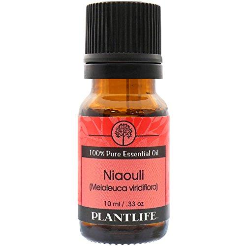 Niaouli Essential Oil (100% Pure and Natural, Therapeutic Grade) from Plantlife Essential Oil Plantlife 